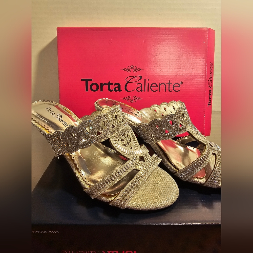 Torta Caliente Silver Sparkly Fancy Open Toed Sandal with Rhinestone 3" Heels 6M